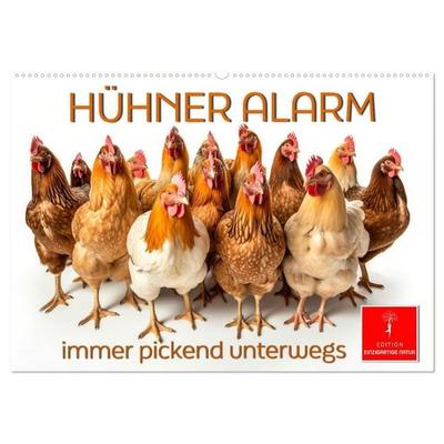Hühner Alarm (Wandkalender 2027 DIN A2 quer), CALVENDO Monatskalender