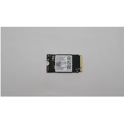 Lenovo Samsung PM991A 256GB (256 GB, M.2, M.2 2242, M.2 2280), SSD