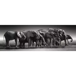 High Quality Collection: Riesen-Elefantenherde Puzzle - 1000 Teile
