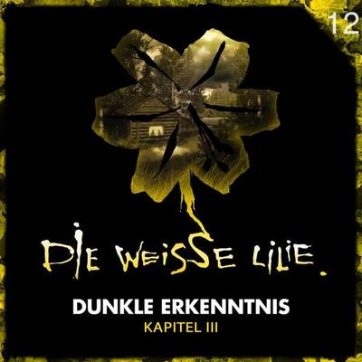 12: Dunkle Erkenntnis - Kapitel III - Benjamin Oechsle, Audio, 4066338404435
