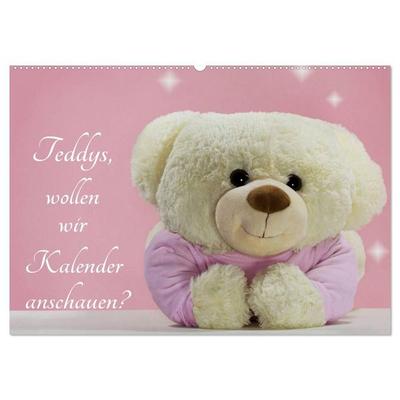 Teddys, wollen wir Kalender anschauen? (Wandkalender 2027 DIN A2 quer), CALVENDO Monatskalender