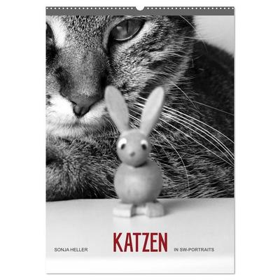 Sonja Heller Katzen in SW-Portraits (Wandkalender 2027 DIN A2 hoch), CALVENDO Monatskalender