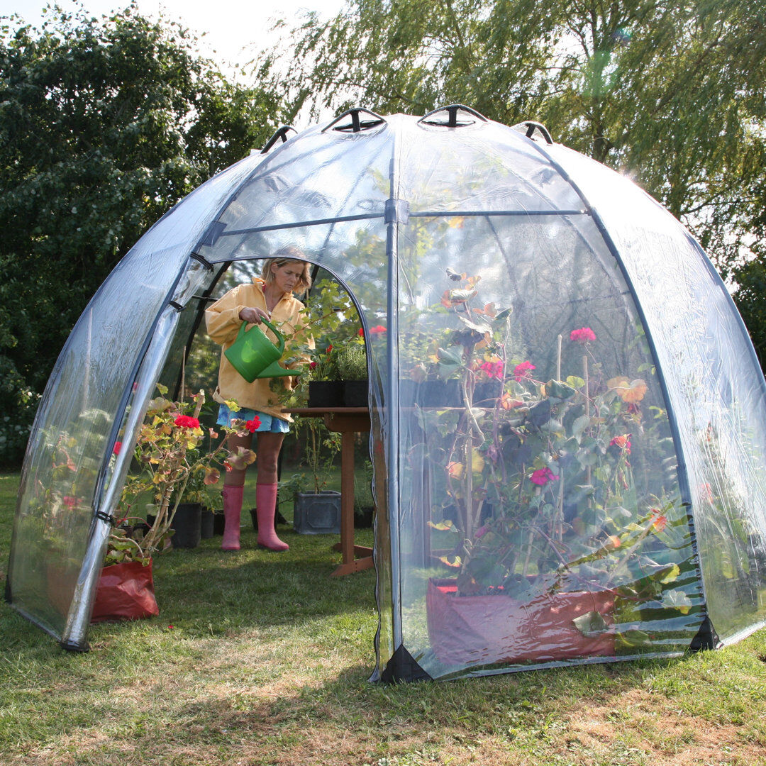 Dakota Fields Calisce Greenhouse Clear 200cm H x 280cm W x 280cm D