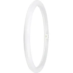 Ledvance LED TUBE T9 EM V 24W 865 G10Q Kugel OS4099854042584