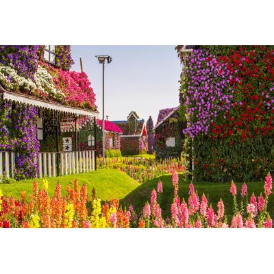 Papermoon "BLUMENSTRAßE-WUNDERGARTEN PARK DUBAI HÄUSER PFLANZ"