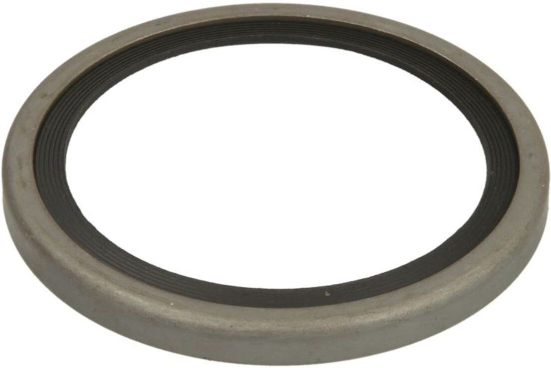 Dichtung, Thermostat LEMA 24805.47