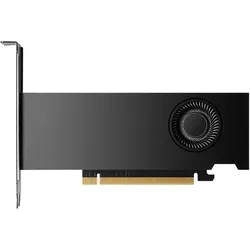 PNY RTX 2000 Ada (16 GB, GDDR6), Grafikkarte, Schwarz