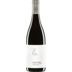 Pinot Noir Reserve Selektion P Weingut Paul Achs 2022 BIO