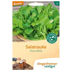 Saatscheibe Ruca Salatrauke - Eruca sativa