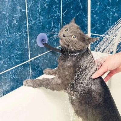 Uplifted Finds Hands Free Pet Bathing & Grooming Tether Hands Free Pet Bathing & Grooming Tether