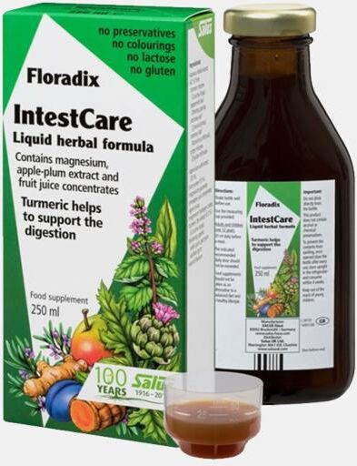 SALUS INTESTCARE 250ml