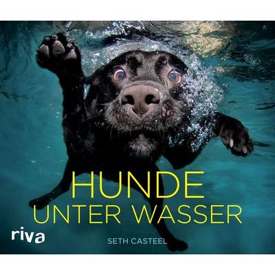 Hunde unter Wasser, Gebundene Ausgabe von Seth Casteel, Riva