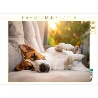 CALVENDO Puzzle Terrier vor der nächsten Action im seligen Schlaf | 1000 Teile Lege-Größe 64x48cm Foto-Puzzle für glückliche Stunden