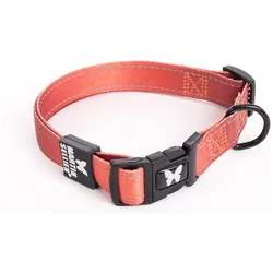 Martin Sellier S (S, Hund, Allgemein, Spazieren), Halsband + Leine