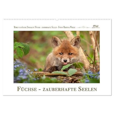 Füchse - zauberhafte Seelen (Wandkalender 2027 DIN A2 quer), CALVENDO Monatskalender