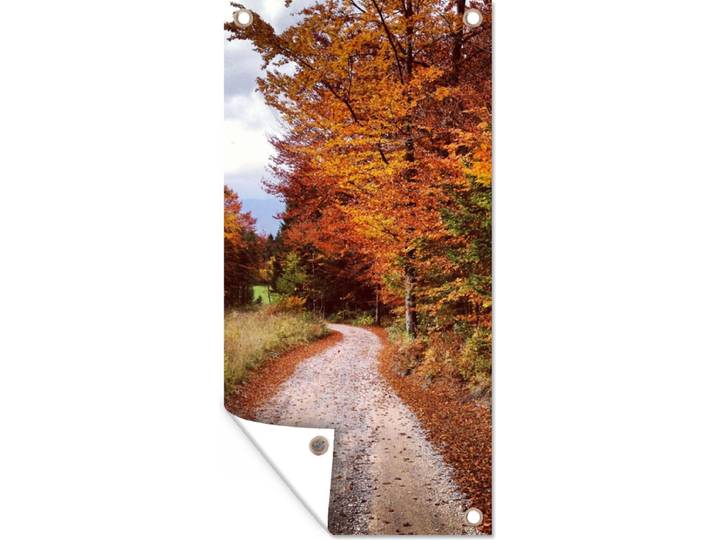 Tuinposter - Herfst - Pad - Bos - Oranje - 80x160 cm - Tuindoek - Tuinschilderij