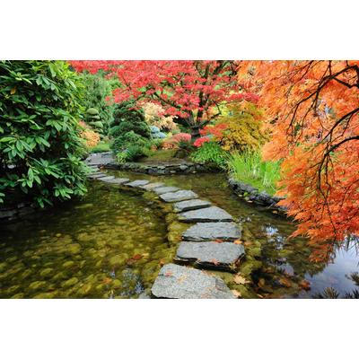 Fototapete PAPERMOON "GARTEN-BÄUME BLUMEN PFLANZEN PARK STEINE WALD BLÜTEN", bunt, B:3,5m L:2,6m, Vlies, Tapeten