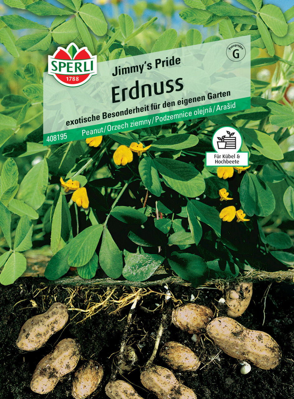 Sperli Erdnuss Jimmy's Pride