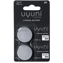 CR2477 Batterie Knopfzelle 2er Pack