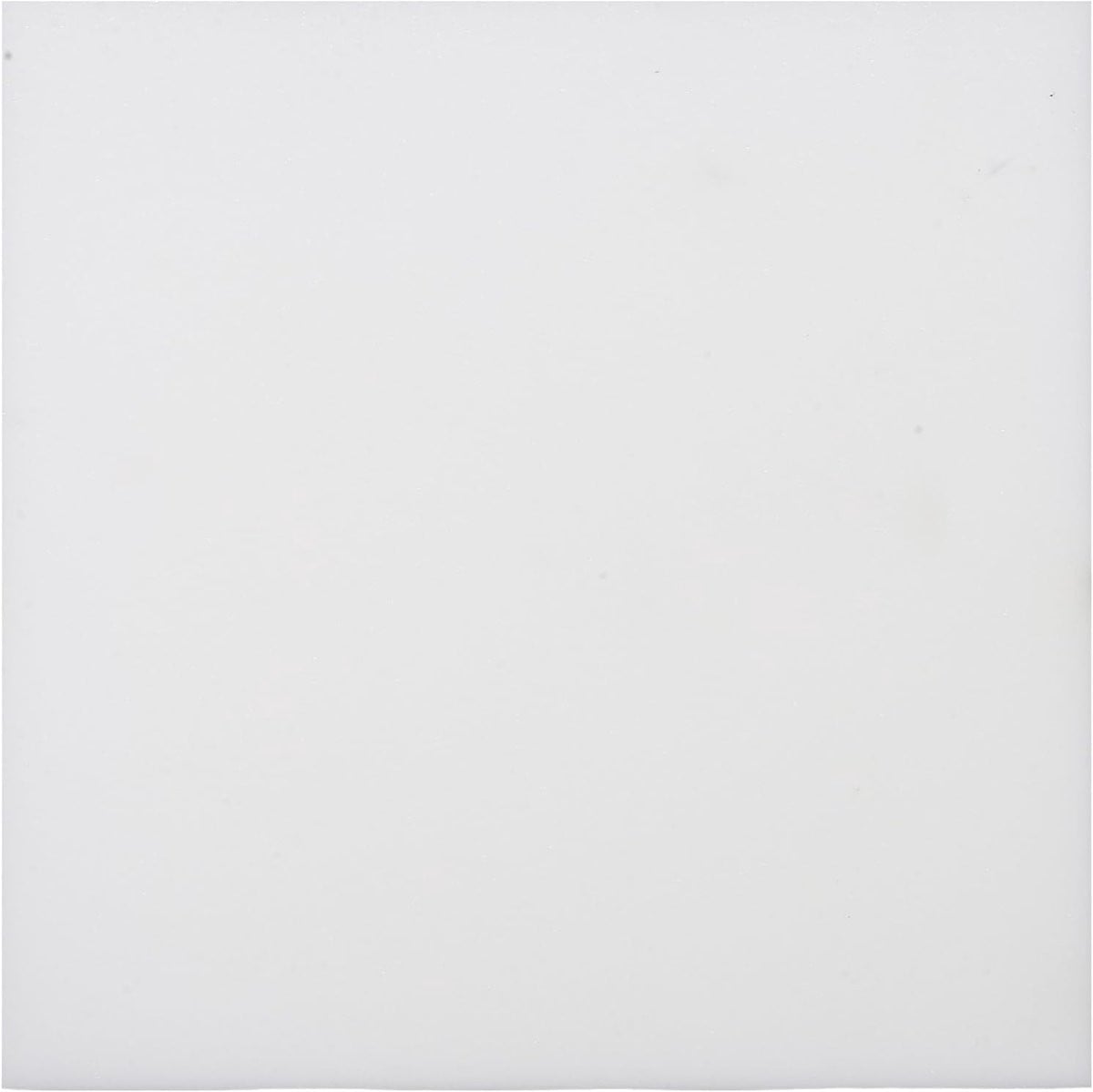 Wit Schuimrubber Kussen - Zitvulling Vervanging voor Meubels - Hoge Dichtheid - 50 x 50 cm