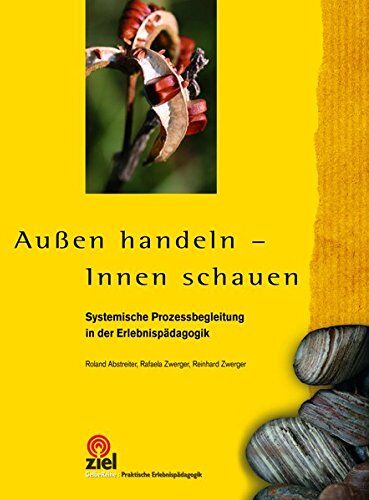 Roland Abstreiter - Außen handeln - Innen schauen: Systemische Prozessbegleitung in der Erlebnispädagogik (Gelbe Reihe: Praktische Erlebnispädagogik) - Preis vom 18.10.2026 19:22:15 h