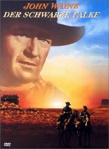 John Ford - Der Schwarze Falke - Preis vom 11.10.2026 03:10:56 h