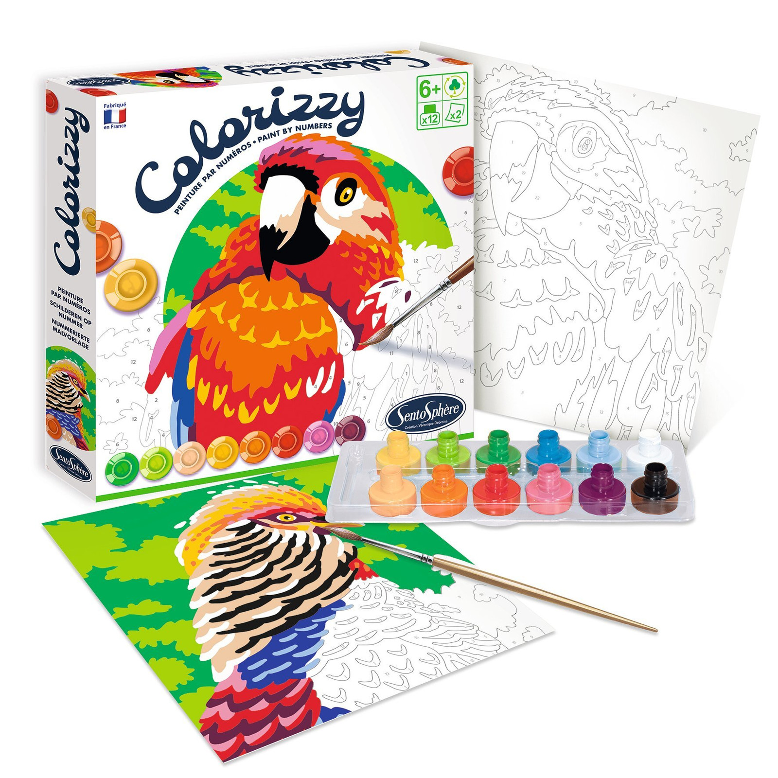 SentoSphere Colorizzy Paint by Numbers Birds Acrylverf voor jonge kunstenaars vanaf 8 jaar