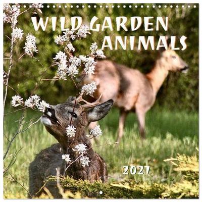 WILD GARDEN ANIMALS (Wall Calendar 2027 12 × 12 Inch) CALVENDO 12 Month Wall Calendar