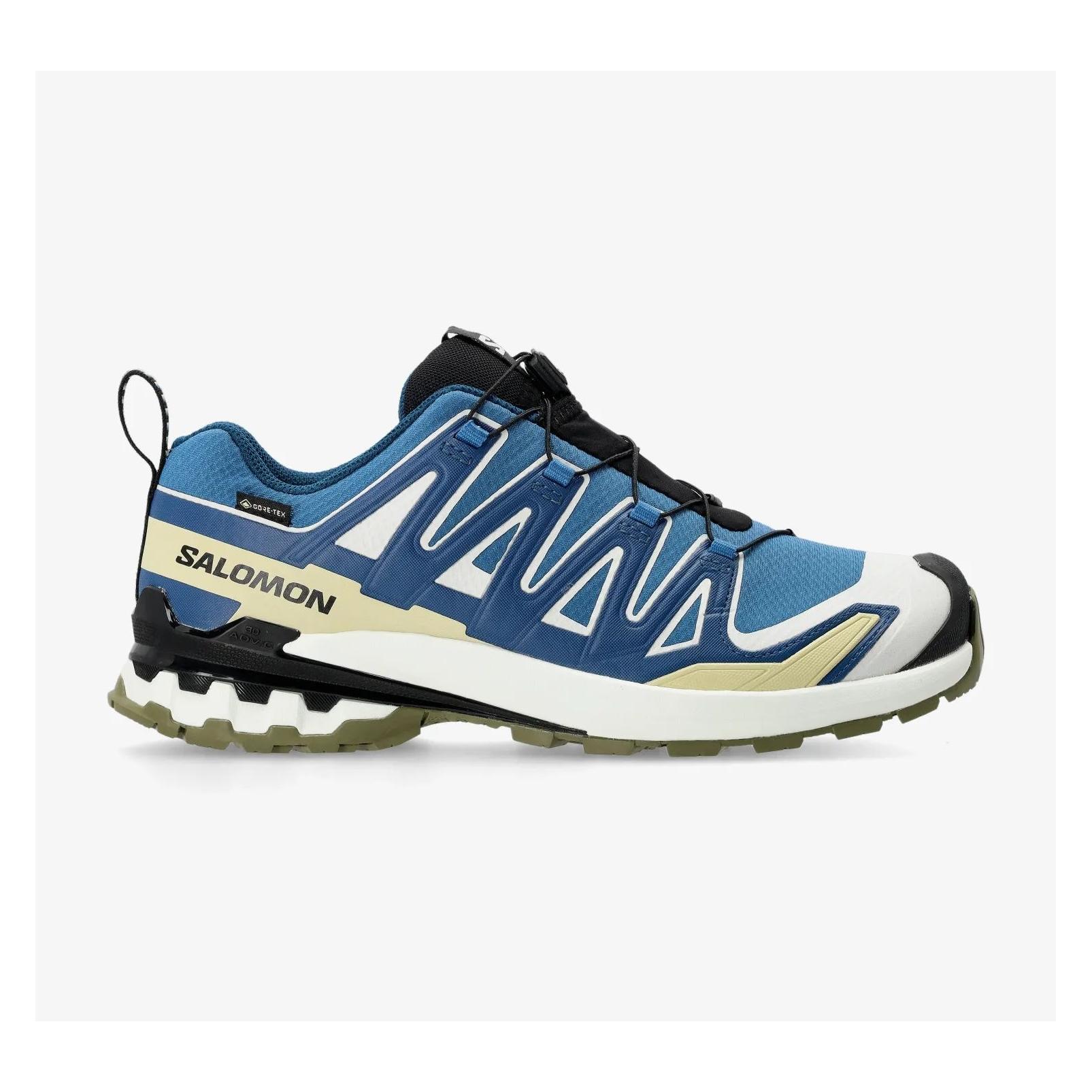 Salomon Herren XA Pro 3D v9 GTX Laufschuhe (45, 45 1/3, 45.5) (L47817400)
