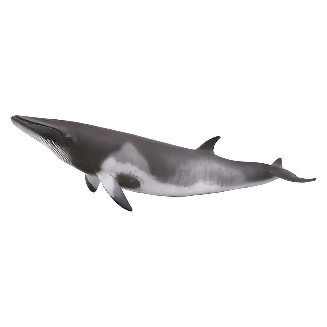 Collecta Figurka Surinkite MINKE WHALE (004-88862)