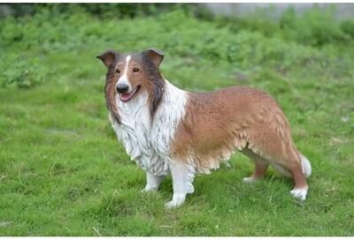 Hi-Line Gift Ltd. Collie Statue