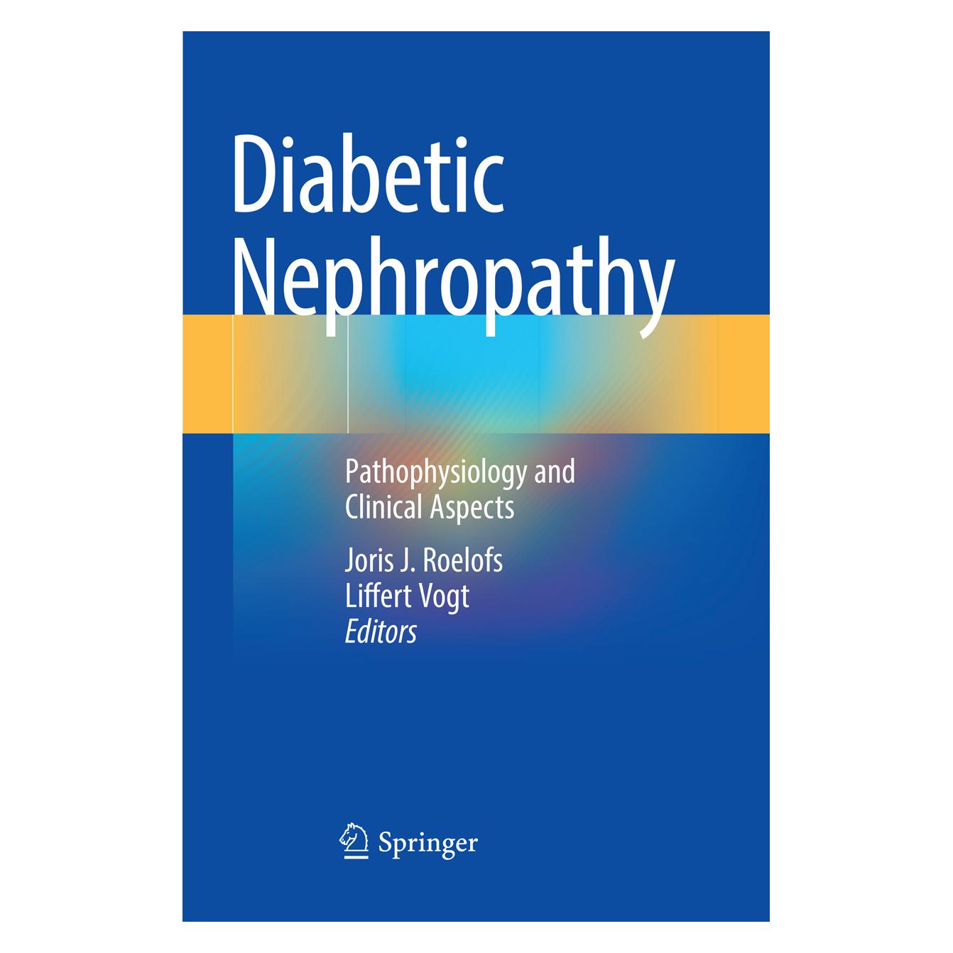 Springer Diabetic Nephropathy (Englisch, Softcover, Joris J. Roelofs, Liffert Vogt) (56114399)