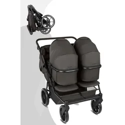ABC Design Bayamo Zwillingswagen mit 2 Babywannen, Farbe Kinderwagen: Pea