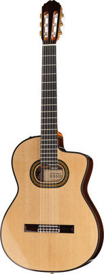 Takamine DH90 w/Softcase Natur Hochglanz