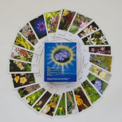 Bachblüten-Karten, Sonstige von Ilse Maly, Maly, Ilse, 978-3-9500082-1-0