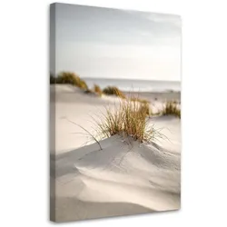 LEINWANDBILD Strand Meer Dünen Natur Pflanzen 40x60cm