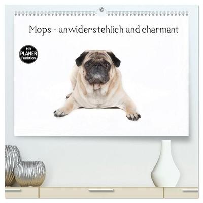 Mops - unwiderstehlich und charmant (hochwertiger Premium Wandkalender 2027 DIN A2 quer), Kunstdruck in Hochglanz