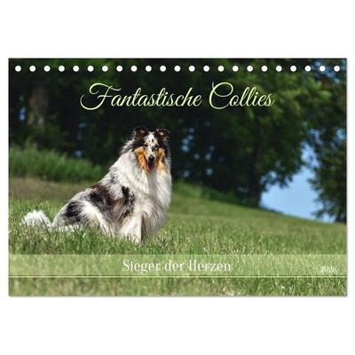 Fantastische Collies - Sieger der Herzen (Tischkalender 2026 DIN A5 quer), CALVENDO Monatskalender