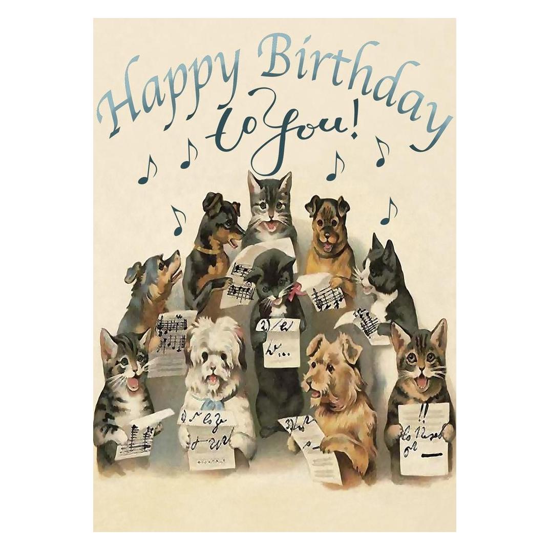 Madame Treacle B6-Karte mit Umschlag Geburtstag Singende Hunde und Katzen (46952099)
