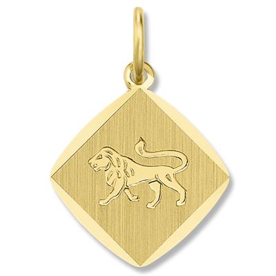 Sternzeichenanhänger ONE ELEMENT "Sternzeichen Anhänger aus 333 Gelbgold", gold, Schmuckanhänger, Damen, LoeweimSetmitHalskette, Steinbock, Gelbgold 333 Gold, Gelbgold 333, Gold