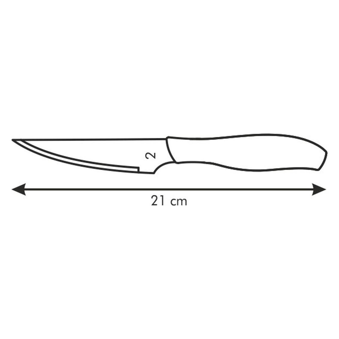 Tescoma Steakmesser SONIC 10 cm, 6 St. (6 Stk., Messer) (NOZDOSTEKOWSONIC/10CM/6SZT)