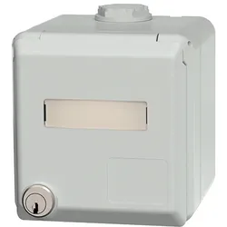 MENNEKES Datendose 2-fach Cat6 IP44 Aufputz RJ45 Cepex 4320 Kunststoff