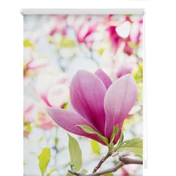 Lichtblick Rollo Klemmfix, ohne Bohren, blickdicht, Magnolie - Rosa
