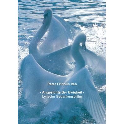 Angesichts der Ewigkeit -, Gebundene Ausgabe von Peter Fridolin Iten, BoD – Books on Demand, 978-3-8391-4872-3