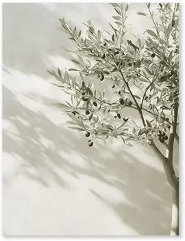 Inspire Curations Mediterranean Olive Tree Canvas Wall Art Rustic Countryside Landscape Poster lc028 2 40x50cm Unframed