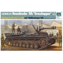 Trumpeter Heuschrecke Ivb Grasshopper