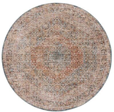 SAFAVIEH Silverado Muguette Vintage Oriental Rug