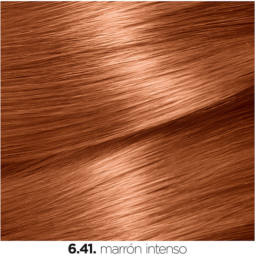 Garnier Nutrisse #6,41-sweet amber