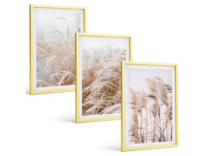 BILDER SET 3er Set - 40x60 cm Goldrahmen - Grasflächen in Braun- und Beigetönen