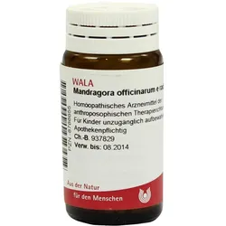 Mandragora Officinarium e radice D 4 Glo 20 g
